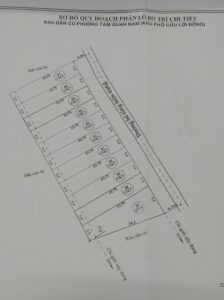 Giá khởi điểm và Sơ đồ phân lô Khu dân cư Cửu Lợi Đông – Tam Quan Nam (tháng 5-6/2021).